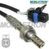 GM 25163981 Lambda Sensor